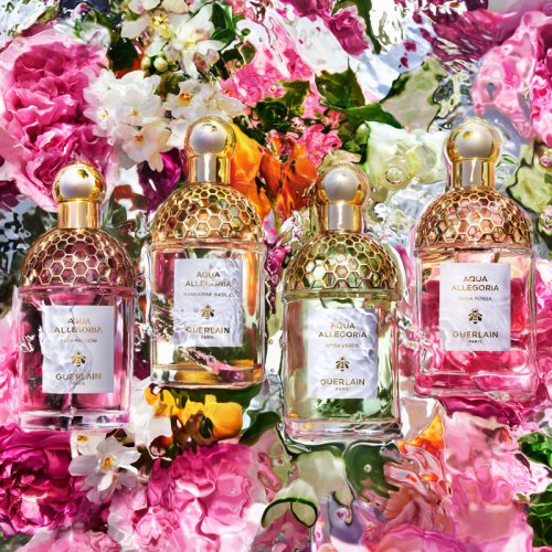 GUERLAIN Aqua Allegoria Pamplelune - Eau de Toilette GUERLAIN Aqua Allegoria Pamplelune - Eau de Toilette